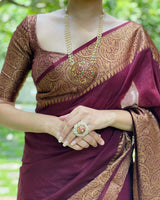Nayira - Maroon Blue Soft Silk Saree with Silver Zari Border and Matching Blouse