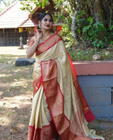 Liniment White Banarasi Silk Saree