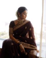 Praveena - Maroon Organza Silk Saree with Floral Zari Motifs and Brocade Border
