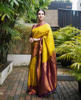 Valmika Gold-Brown Soft Kanjivaram Silk Drape with Unique Blouse Piece