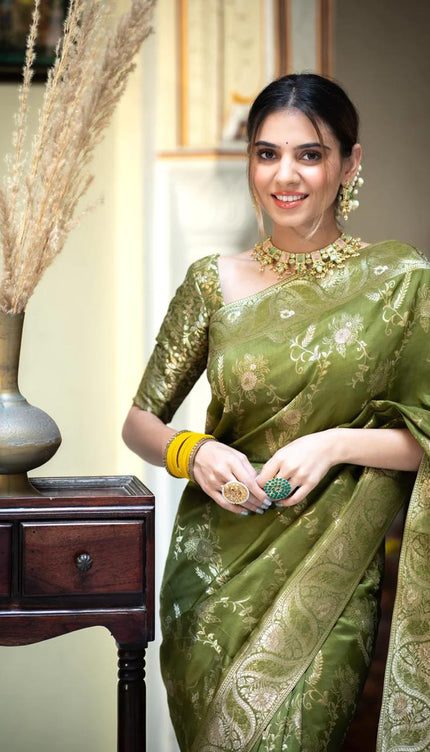 Hema Mahendi Banarasi Silk Saree WIth Fabulouse Blouse Piece