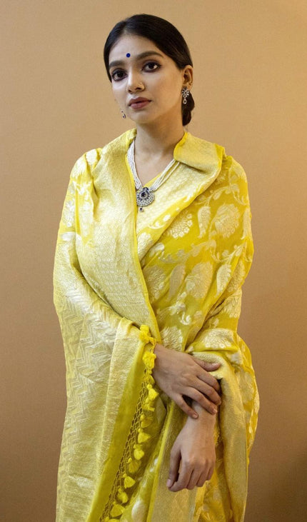 Collection image for: Evergreen