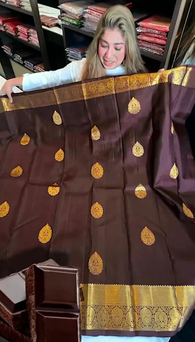 Tantalizing Brown Soft Banarasi Silk Saree With Prominent Blouse Piece