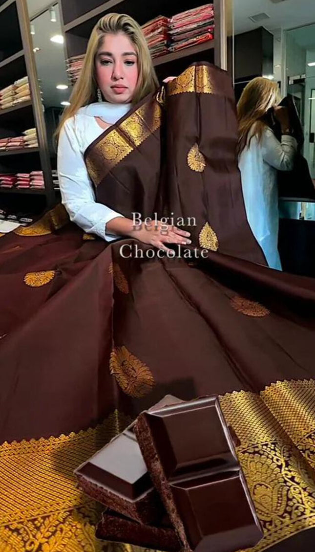 Tantalizing Brown Soft Banarasi Silk Saree With Prominent Blouse Piece