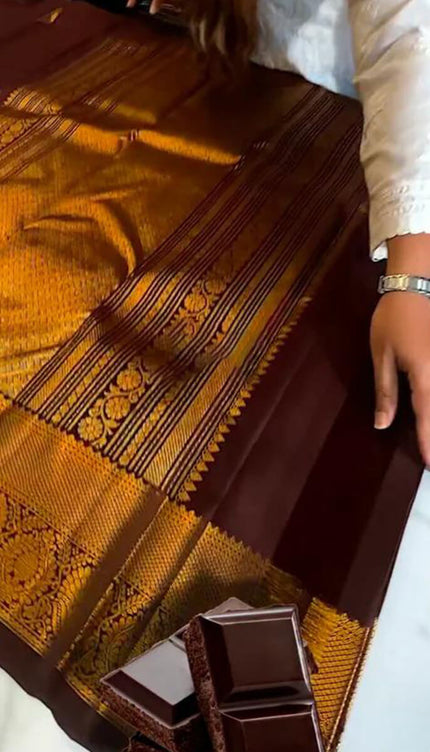 Tantalizing Brown Soft Banarasi Silk Saree With Prominent Blouse Piece