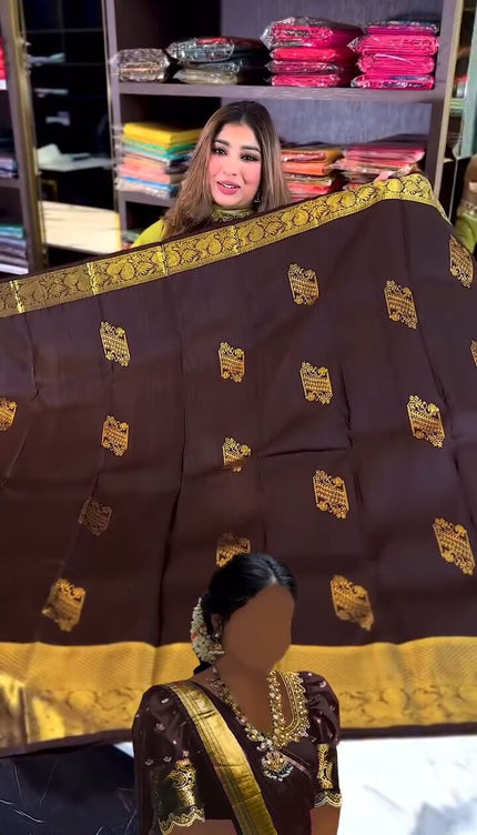 Woebegone Brown Soft Banarasi Silk Saree With Angelic Blouse Piece