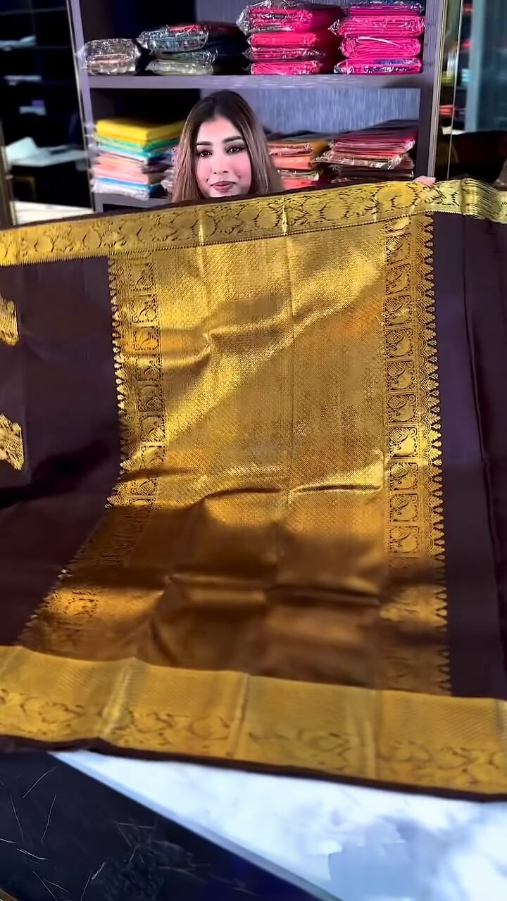 Woebegone Brown Soft Banarasi Silk Saree With Angelic Blouse Piece
