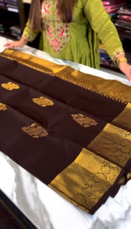 Woebegone Brown Soft Banarasi Silk Saree With Angelic Blouse Piece