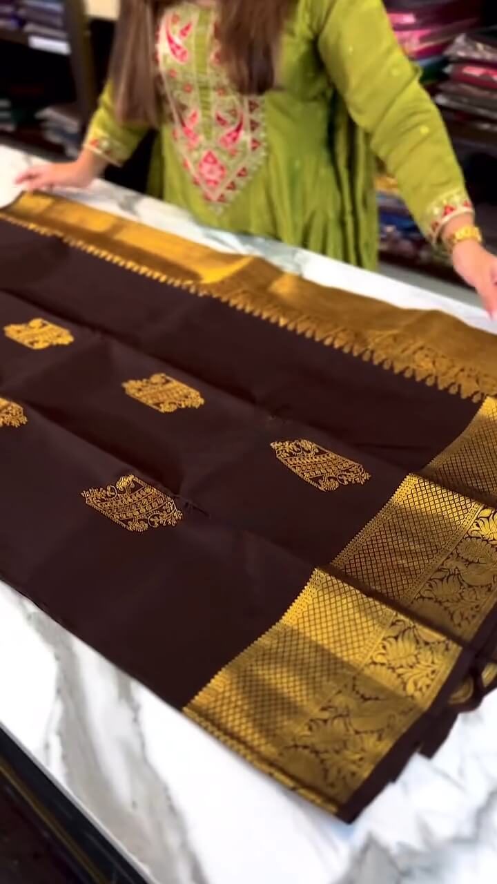 Woebegone Brown Soft Banarasi Silk Saree With Angelic Blouse Piece
