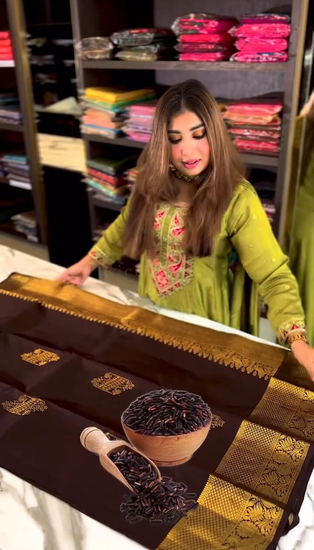 Woebegone Brown Soft Banarasi Silk Saree With Angelic Blouse Piece