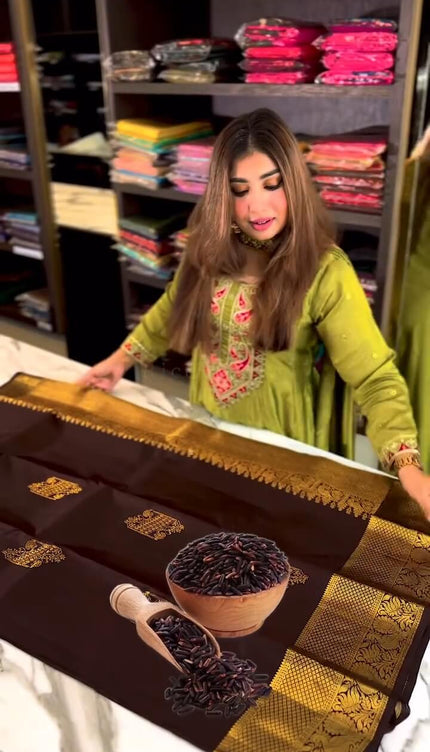 Woebegone Brown Soft Banarasi Silk Saree With Angelic Blouse Piece