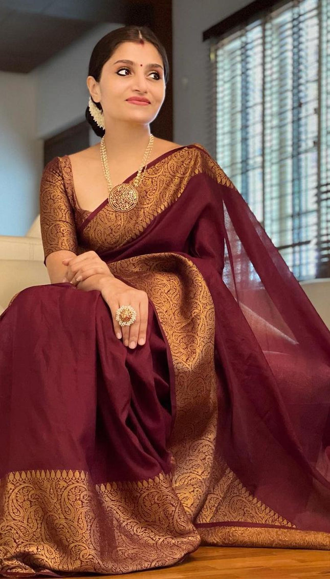 Nayira - Maroon Blue Soft Silk Saree with Silver Zari Border and Matching Blouse