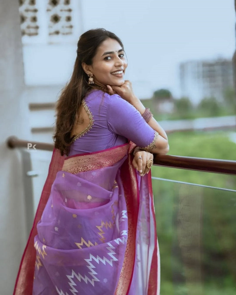 Lavender Sheer Saree with Pink Zari Border & Ikat Motifs