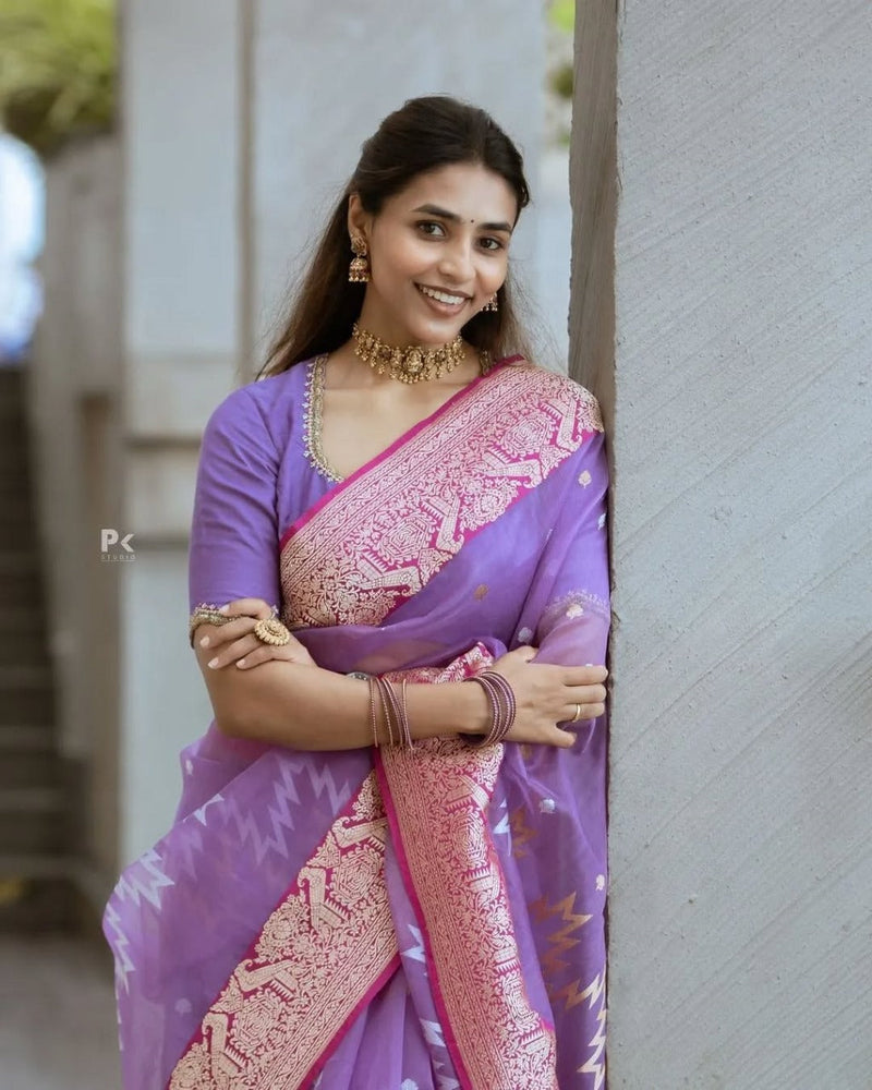 Lavender Sheer Saree with Pink Zari Border & Ikat Motifs
