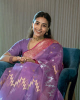 Lavender Sheer Saree with Pink Zari Border & Ikat Motifs