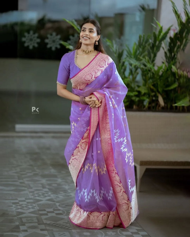 Lavender Sheer Saree with Pink Zari Border & Ikat Motifs