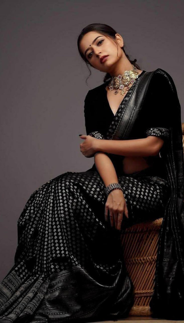 Black Banarasi Silk Saree with Silver Zari Motifs