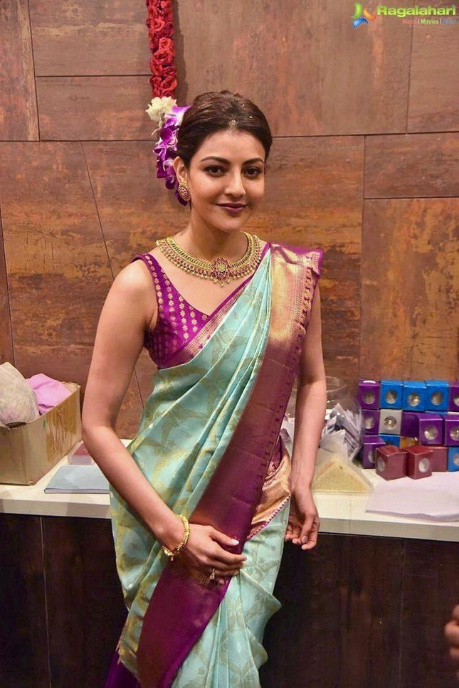 Tanvika - Sky Soft Banarasi Silk Saree with Wine Jacquard Border