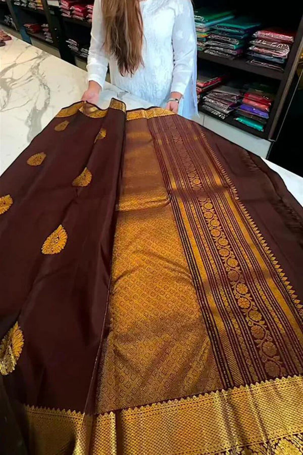 Aastha - Brown Soft Silk Saree with Jacquard Woven Motifs