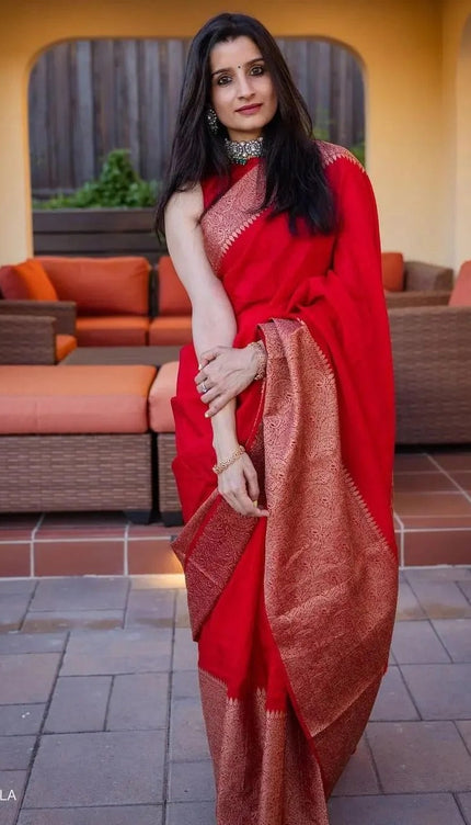 Nayira - Red Soft Silk Saree with Silver Zari Border and Matching Blouse