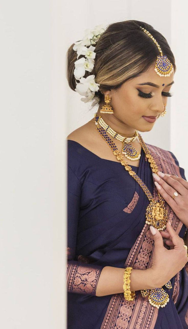 Dark Blue Party Wear With Lichi Silk saree
