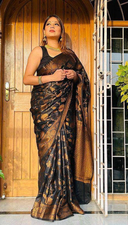 Amazing Black Soft Banarasi Silk Saree