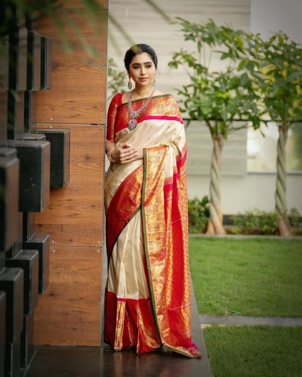 Most Stunning Beige Soft Silk Saree