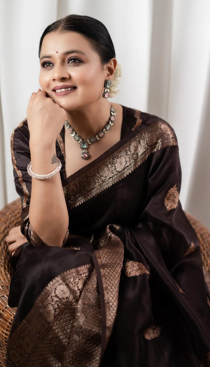 Ravishing Black Soft Silk Saree