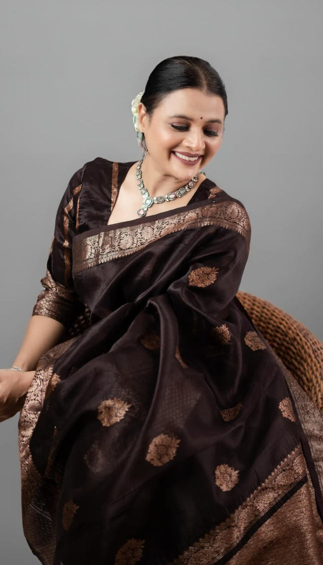 Ravishing Black Soft Silk Saree