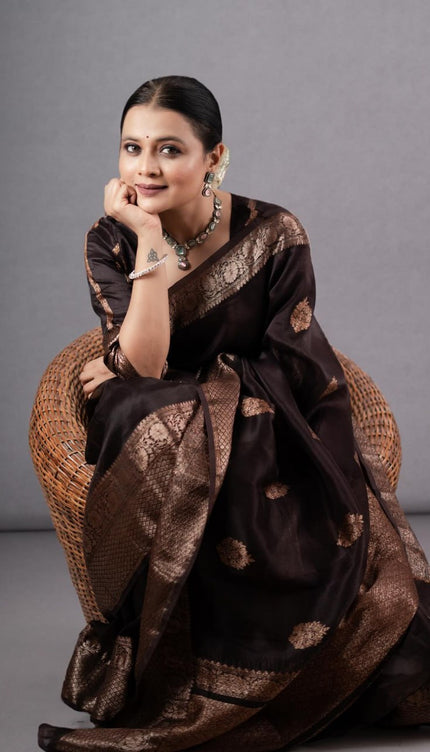 Ravishing Black Soft Silk Saree
