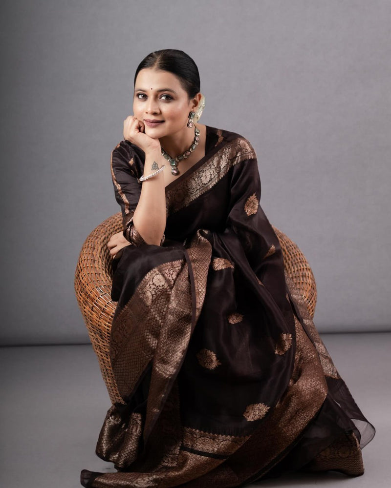 Ravishing Black Soft Silk Saree