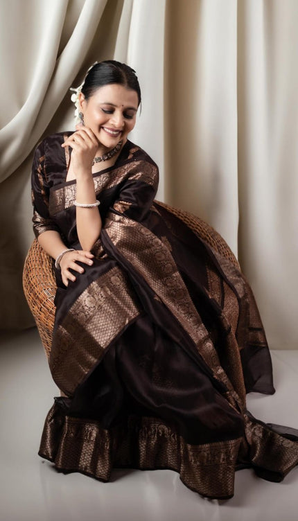 Ravishing Black Soft Silk Saree