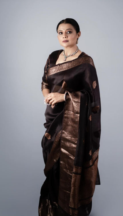 Ravishing Black Soft Silk Saree