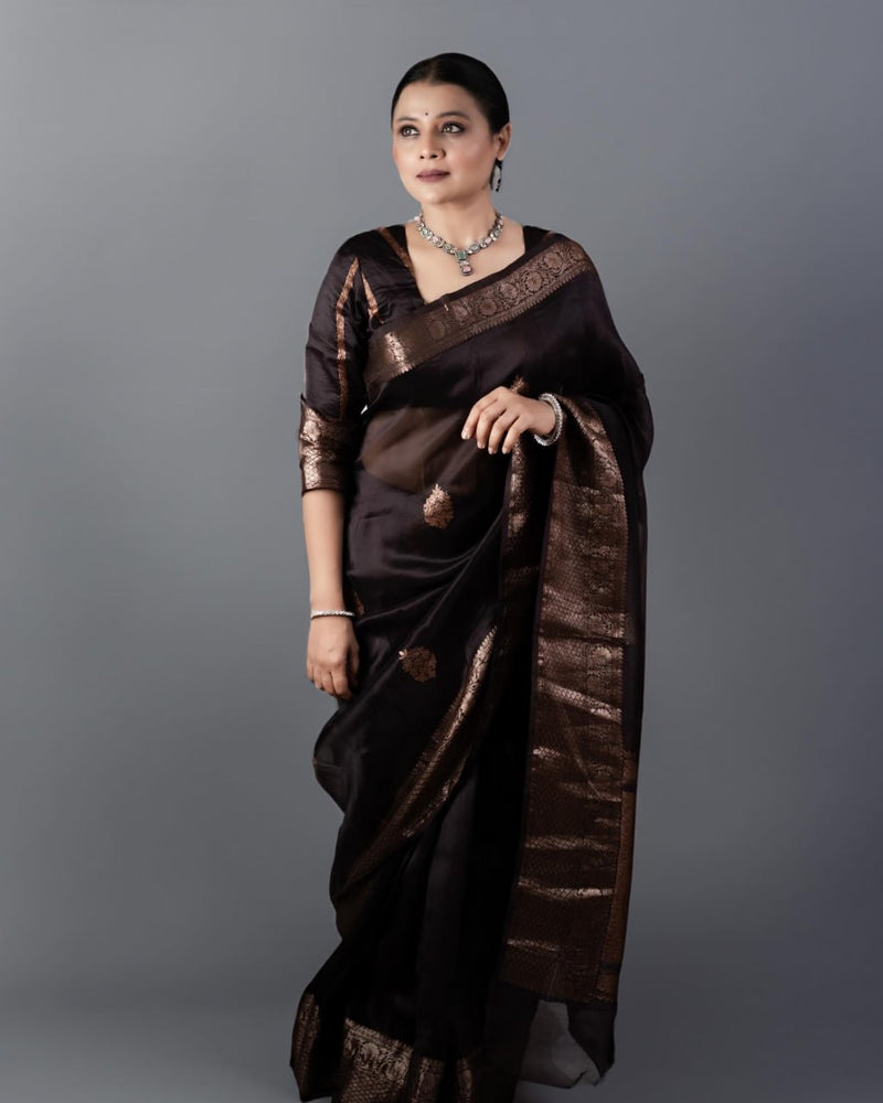 Ravishing Black Soft Silk Saree
