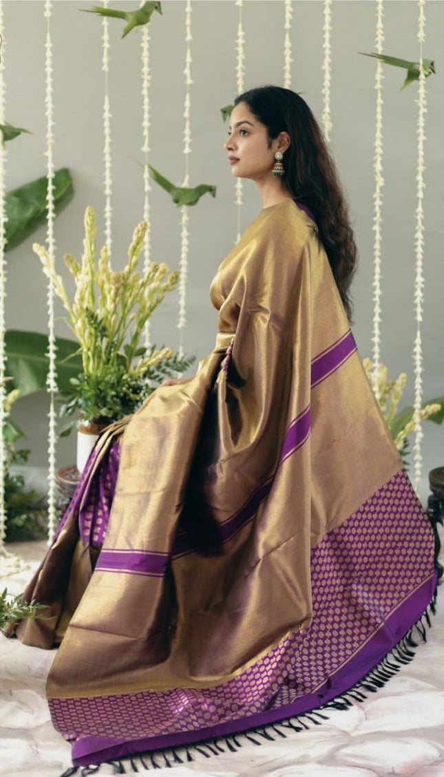 Fancifull Dark Lavendor Soft Silk Saree
