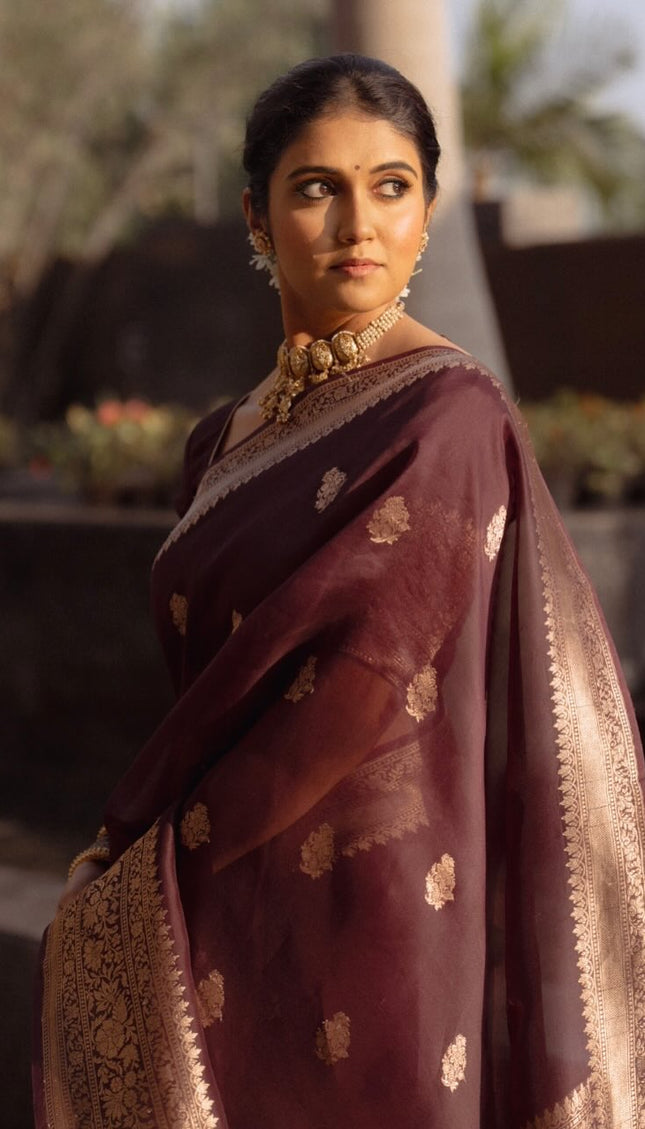 Praveena - Maroon Organza Silk Saree with Floral Zari Motifs and Brocade Border