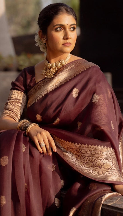Praveena - Maroon Organza Silk Saree with Floral Zari Motifs and Brocade Border