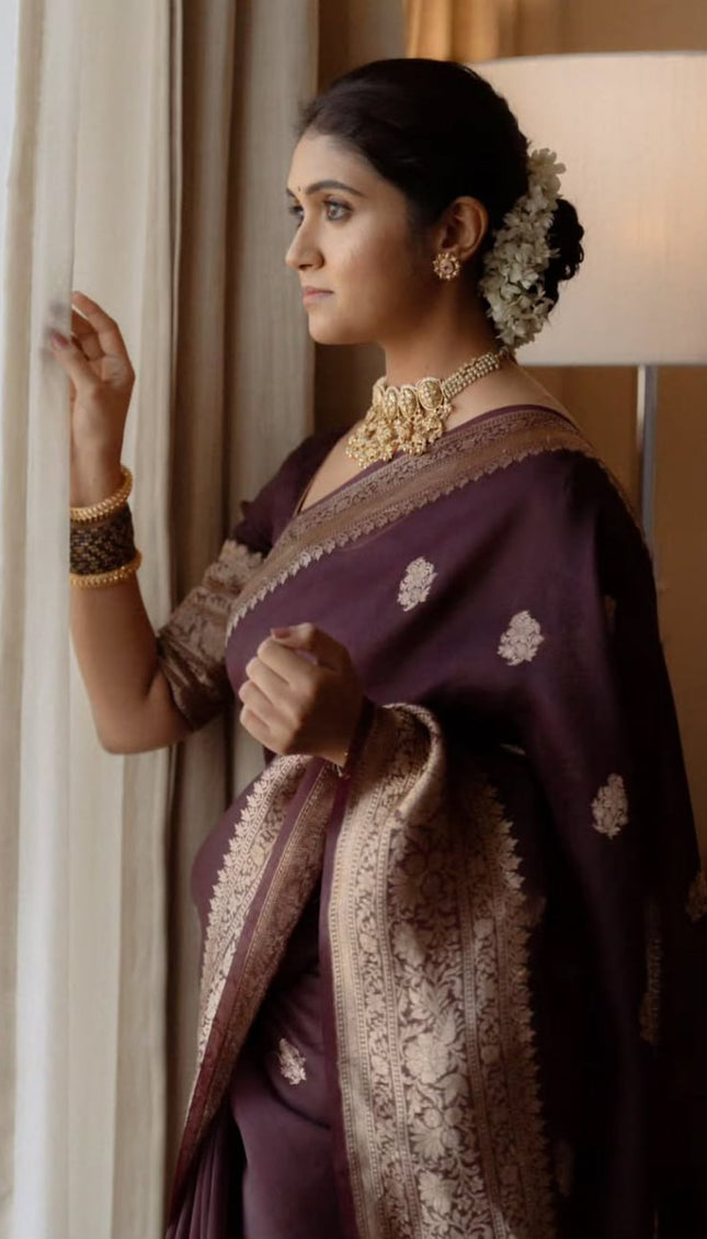 Praveena - Maroon Organza Silk Saree with Floral Zari Motifs and Brocade Border