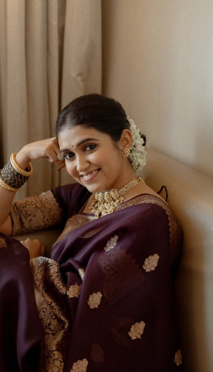 Praveena - Maroon Organza Silk Saree with Floral Zari Motifs and Brocade Border