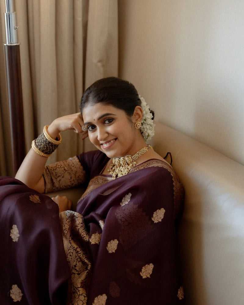 Praveena - Maroon Organza Silk Saree with Floral Zari Motifs and Brocade Border