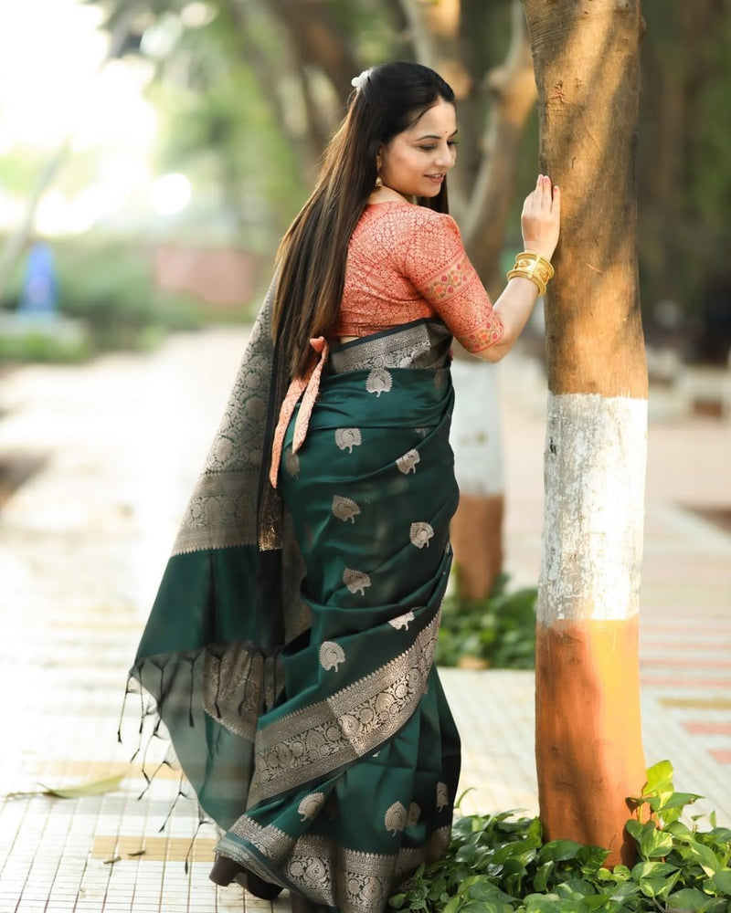 Vritika - Green Banarasi Silk Saree with Silver Zari Motifs