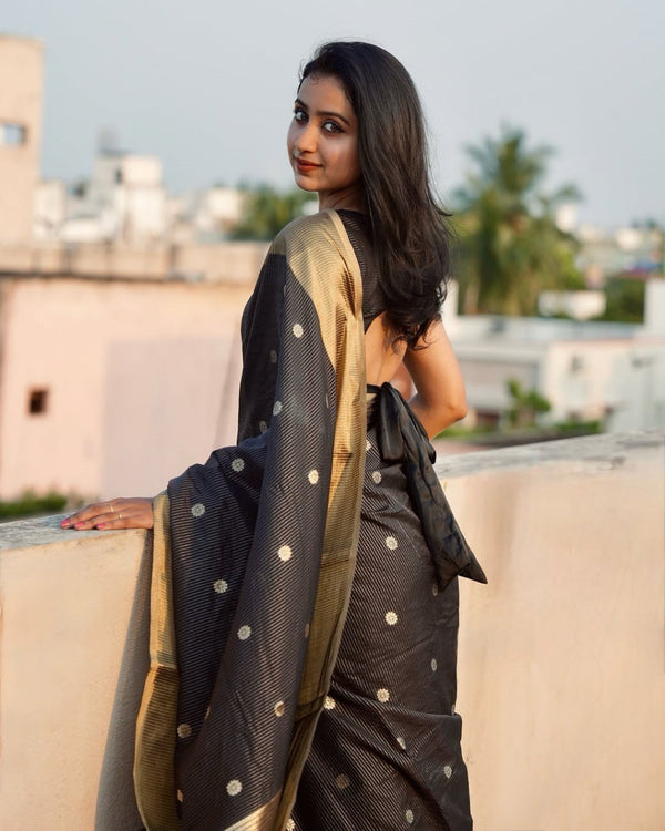 Lalima - Black Cotton Silk Saree with Zari Dot Weave and Gold Border