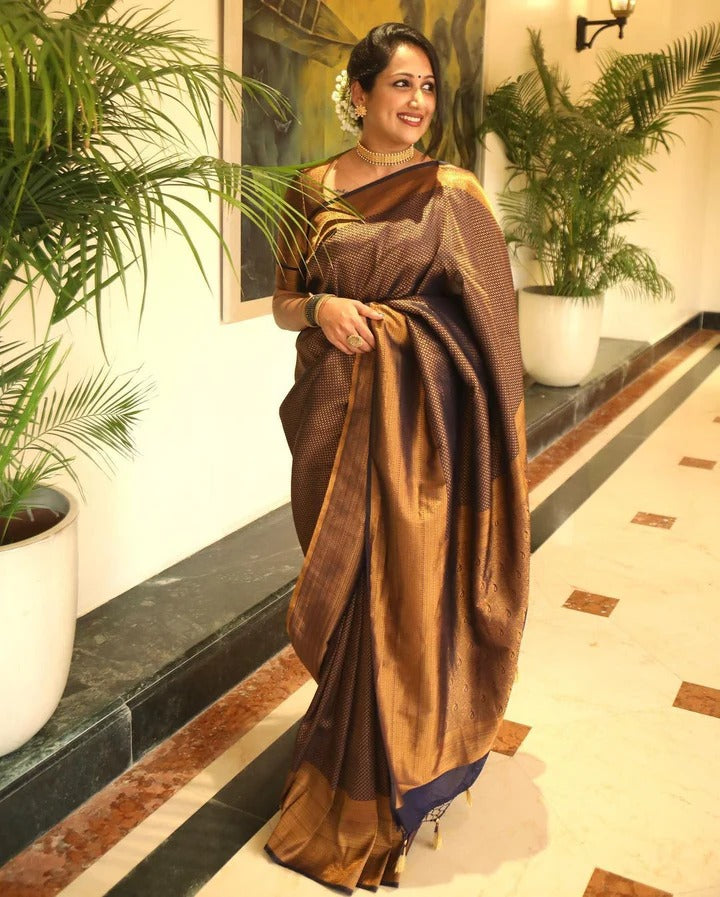 Valmika Black Soft Kanjivaram Silk Drape with Unique Blouse Piece