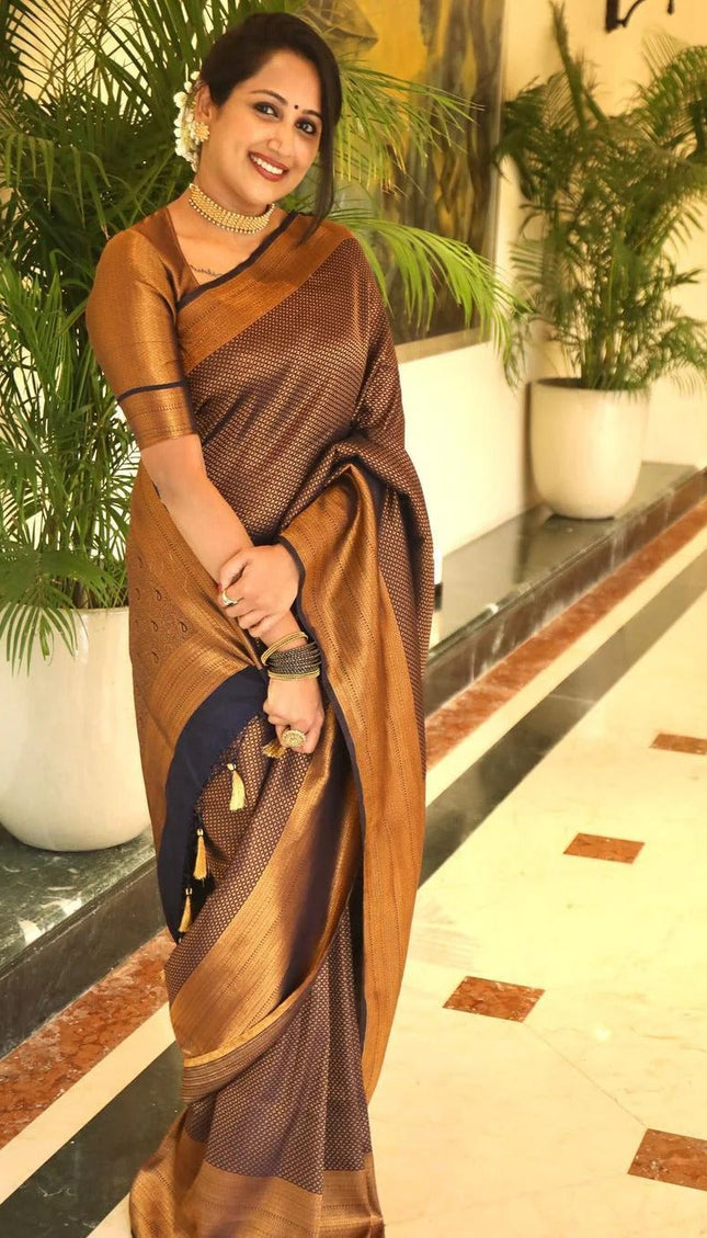 Valmika Black Soft Kanjivaram Silk Drape with Unique Blouse Piece