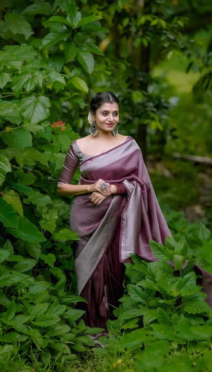 Vinika Brown Soft Kanjivaram Silk Drape with Unique Blouse Piece-Valmika