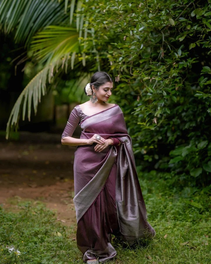 Vinika Brown Soft Kanjivaram Silk Drape with Unique Blouse Piece-Valmika