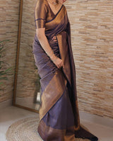 Vinika NavyBlue Soft Kanjivaram Silk Drape with Unique Blouse Piece-Valmika