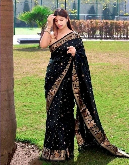 Chandrika - Black Soft Banarasi Silk Saree with Jacquard Weaving